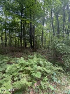 3006 County Hwy 107