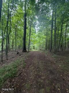3006 County Hwy 107