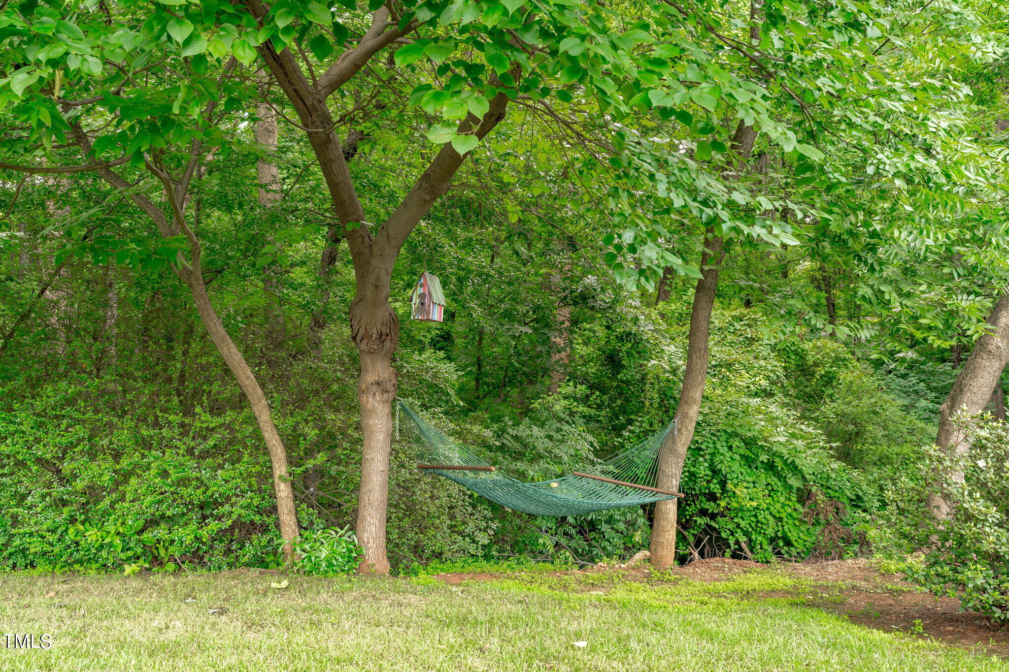 119 Bonniewood Drive