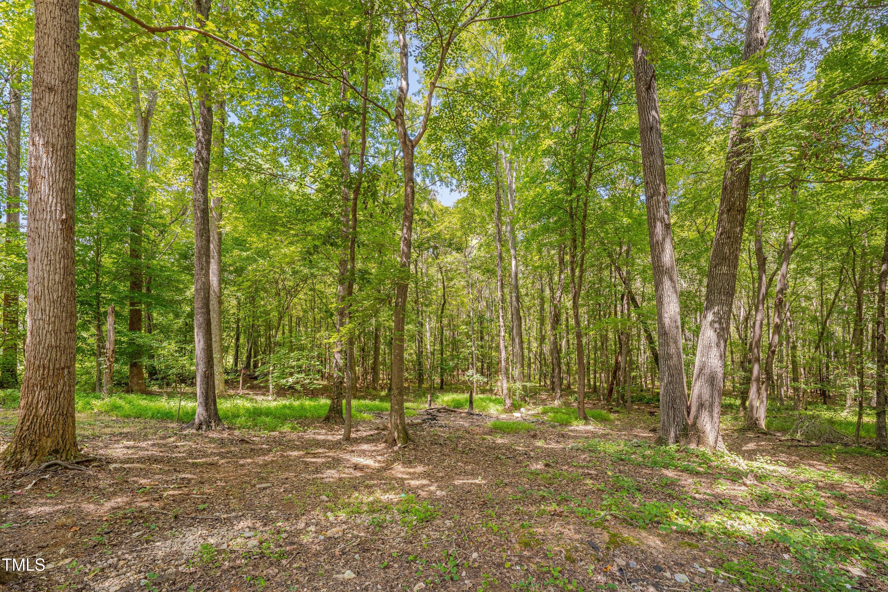 8001 Gold Mine Road