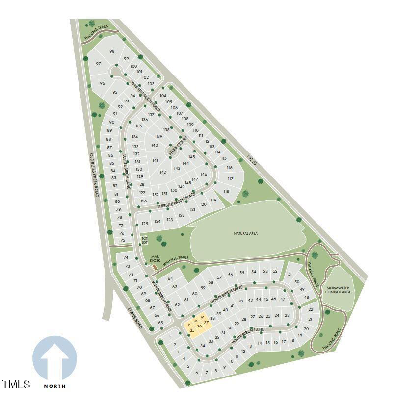 239 White Birch Lane