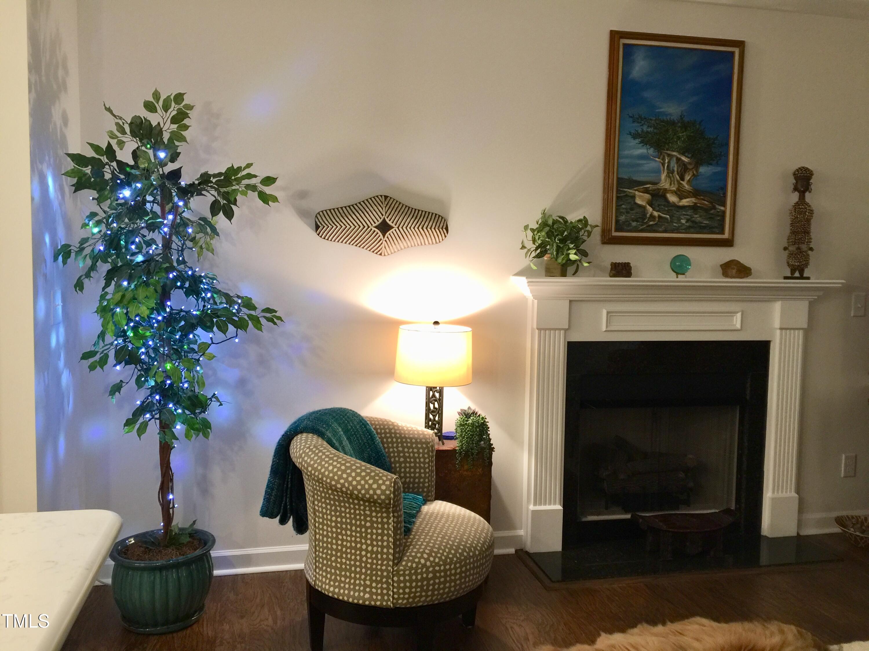 53 Azul Drive