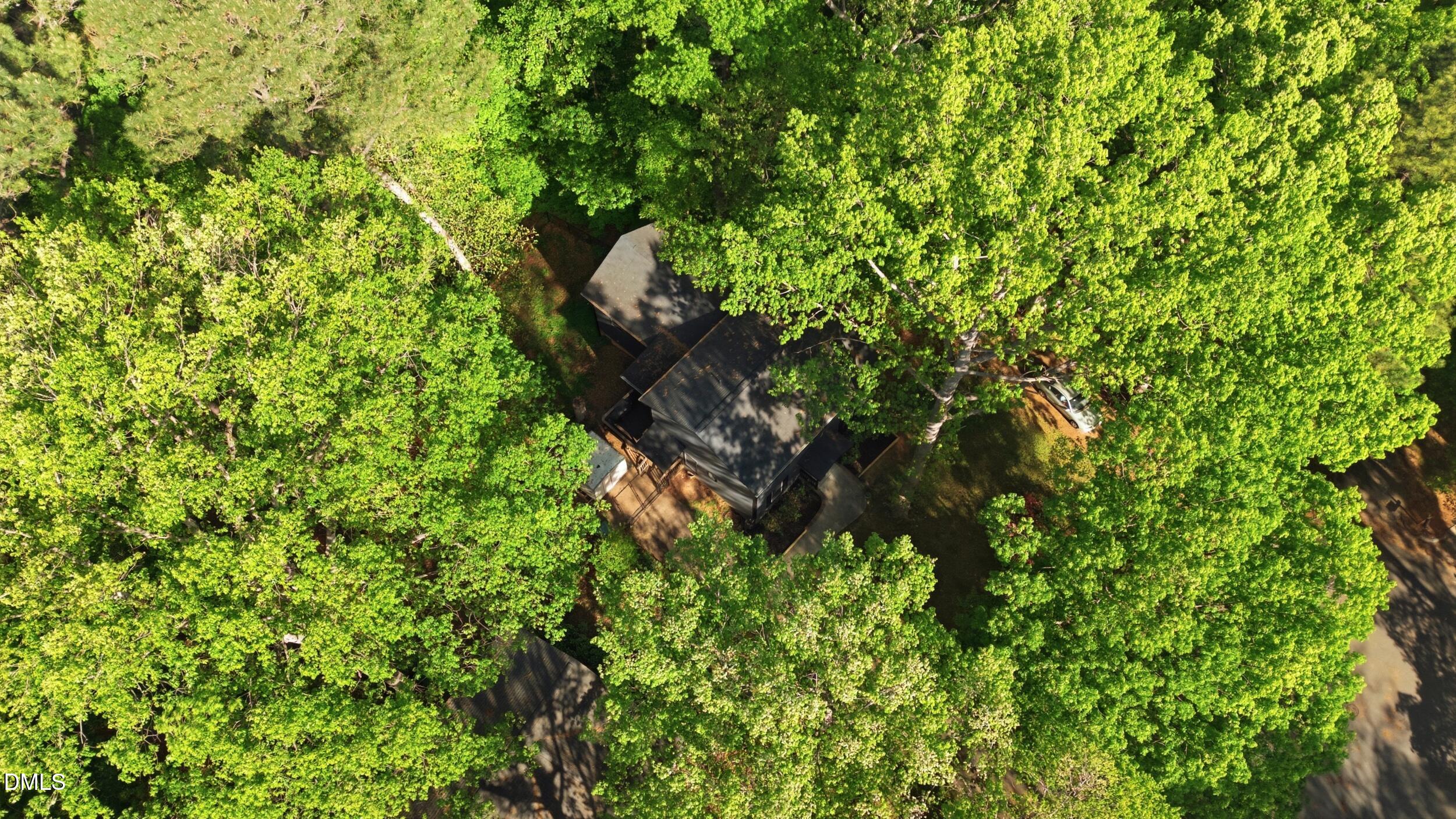 107 Black Bear Court