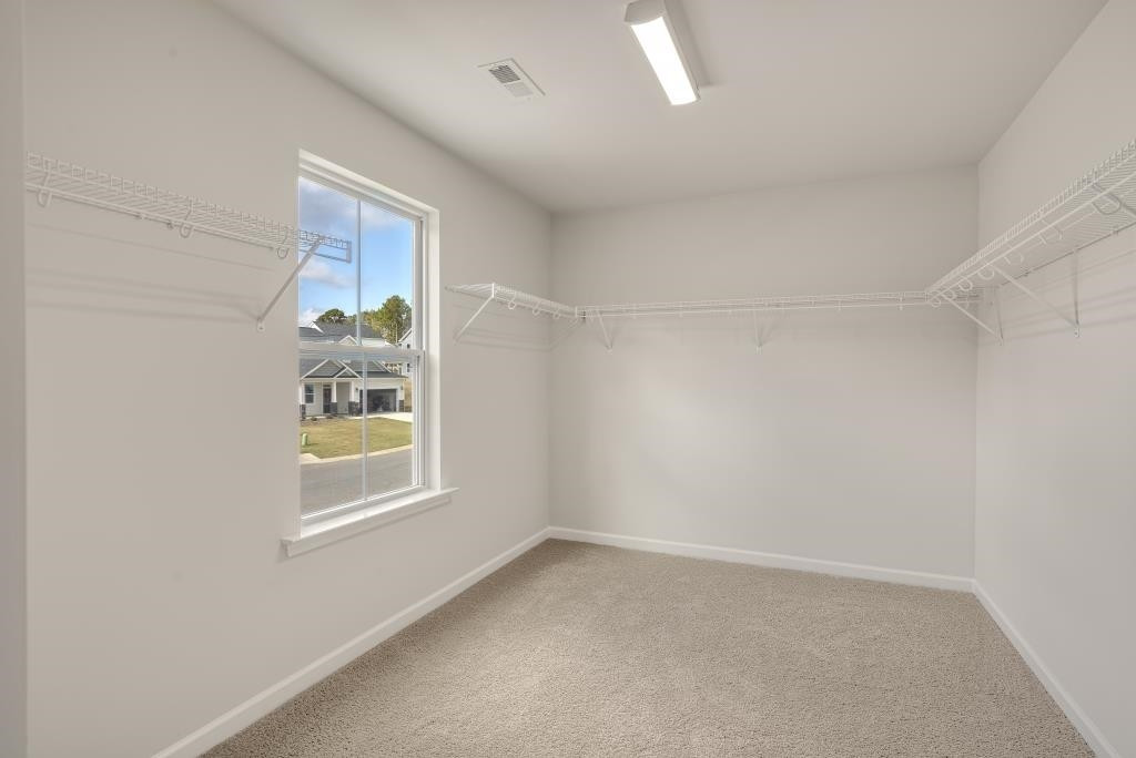 224 Karlov Road