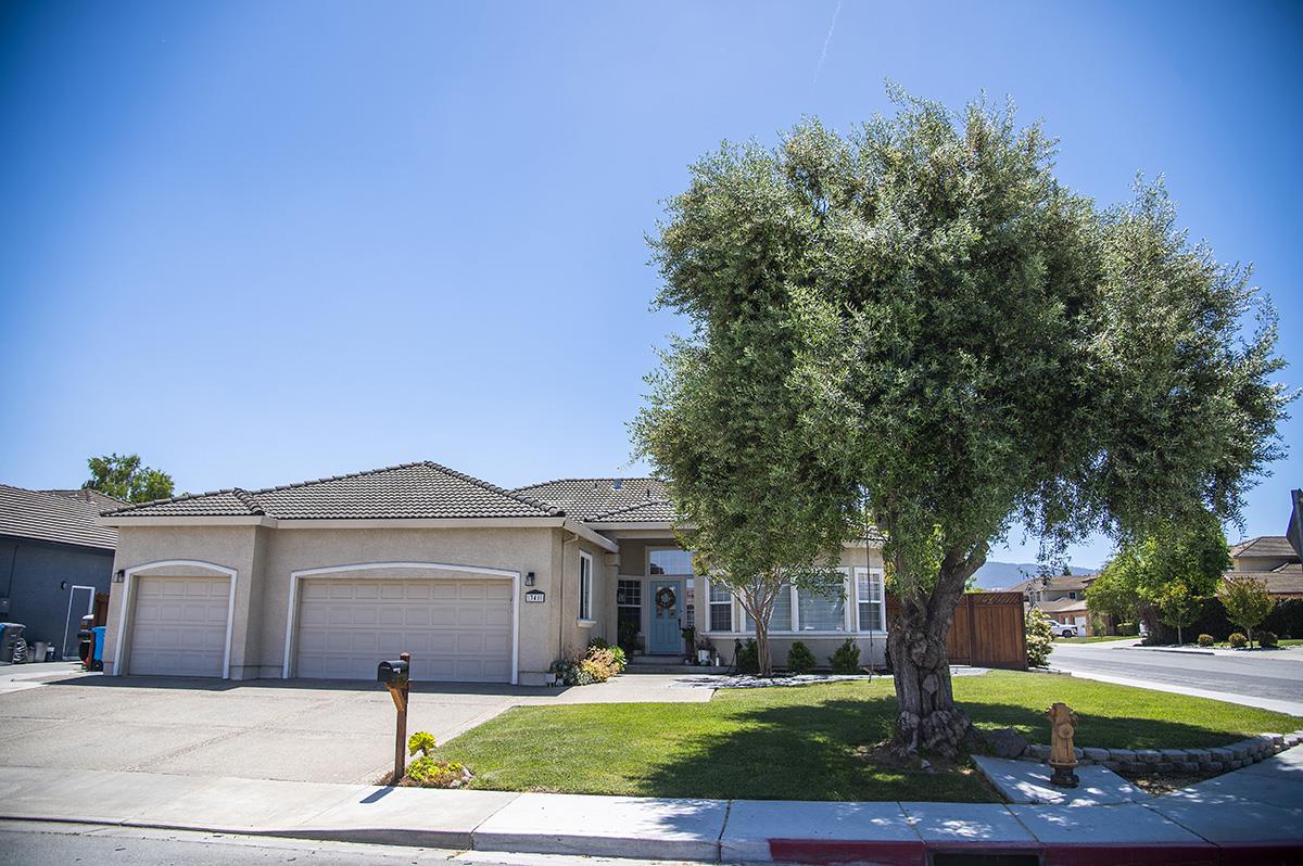 Single-story stucco home with two garage doors and a large tree shading its front lawn.