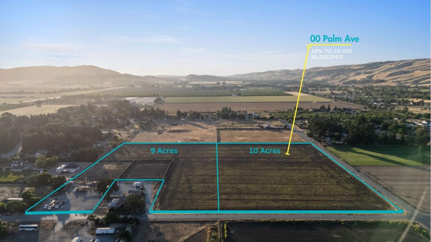Aerial view of 00 Palm Ave acreage, with two outlined parcels labeled 9 acres and 10 acres.