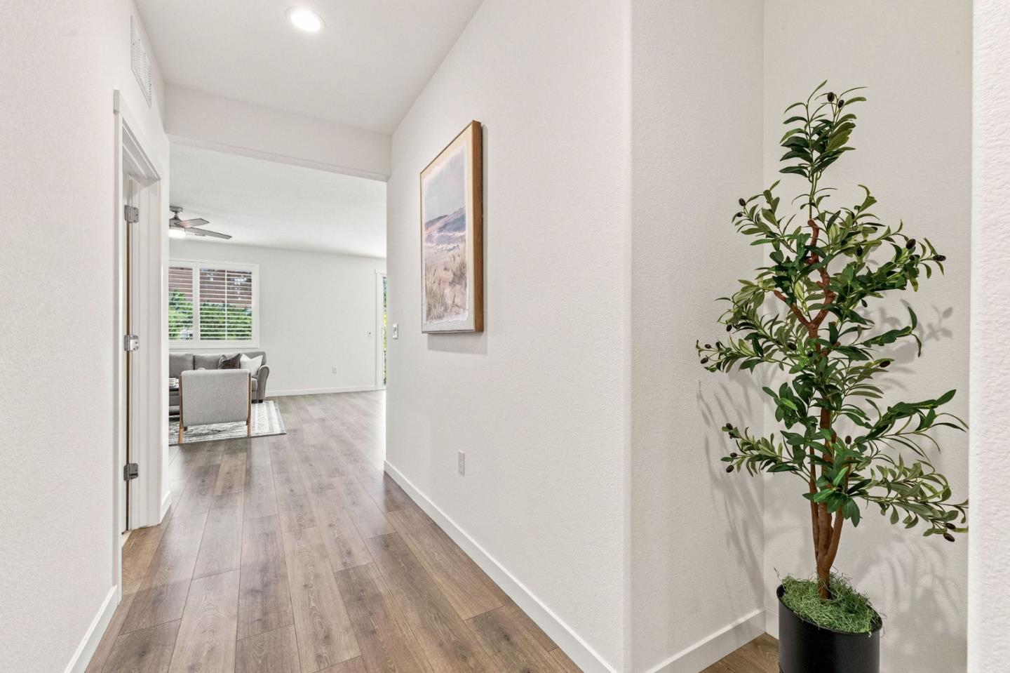 Bright entry hallway with wood-look flooring, framed art, and a potted tree beside the living room.