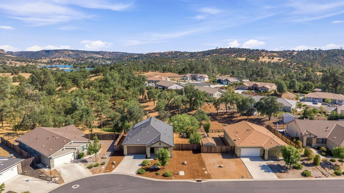 Aerial view of homes among oak trees, with a lake in the distance.