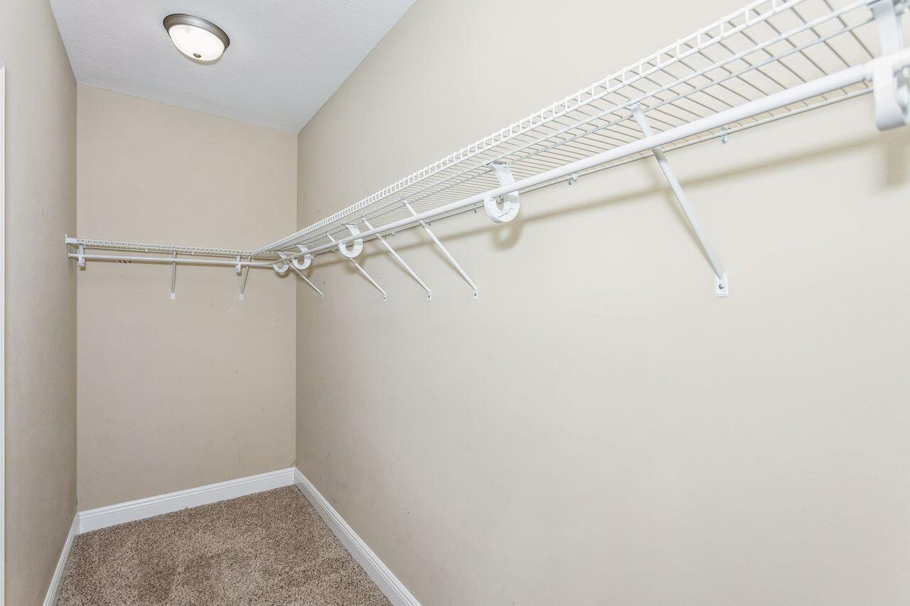 Empty walk-in closet with white wire shelving and beige carpet.