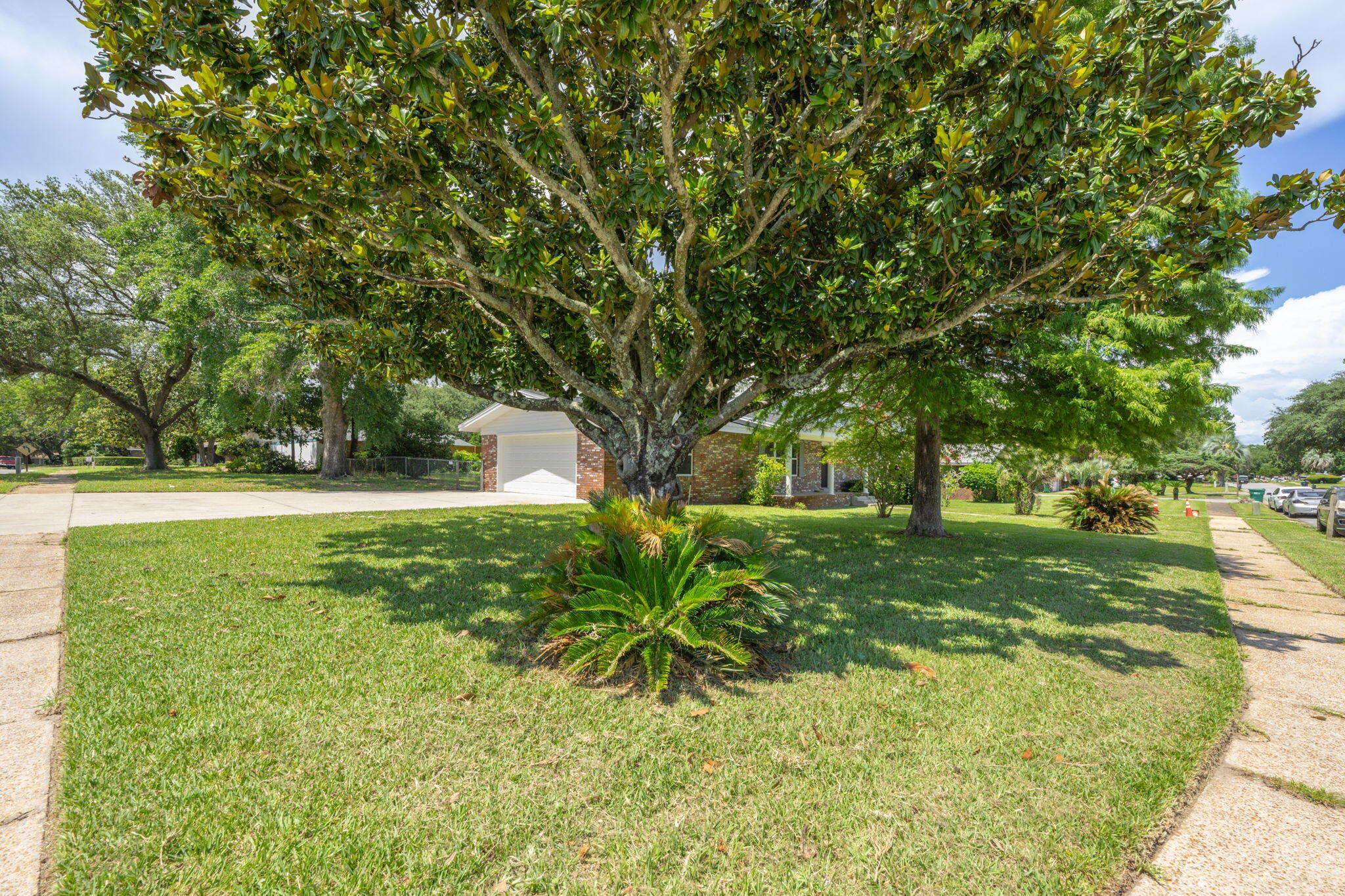 161 Homewood Drive