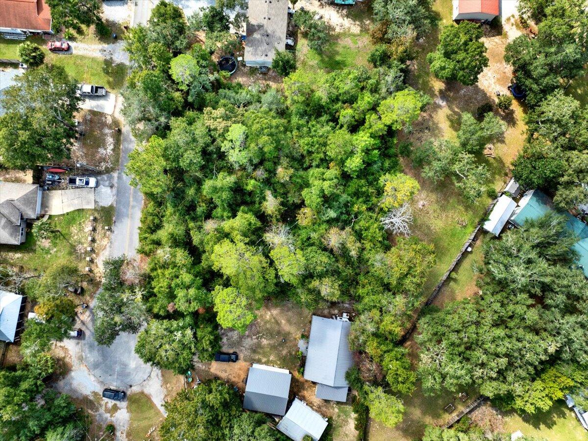 149 Palmetto Avenue