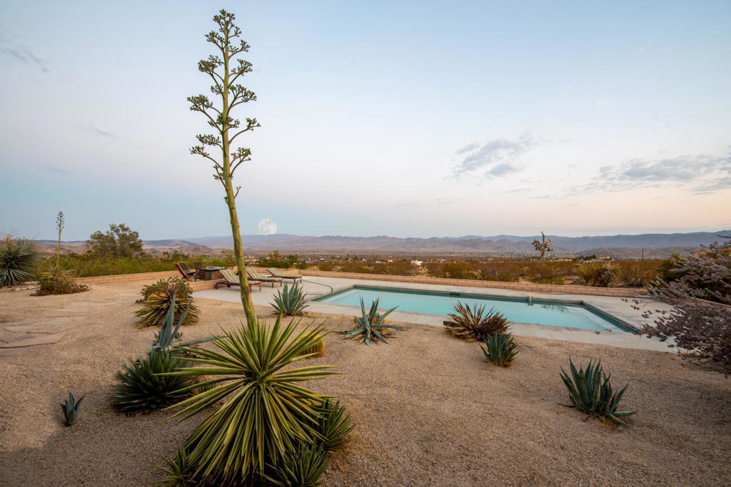 61979 Campanula Street