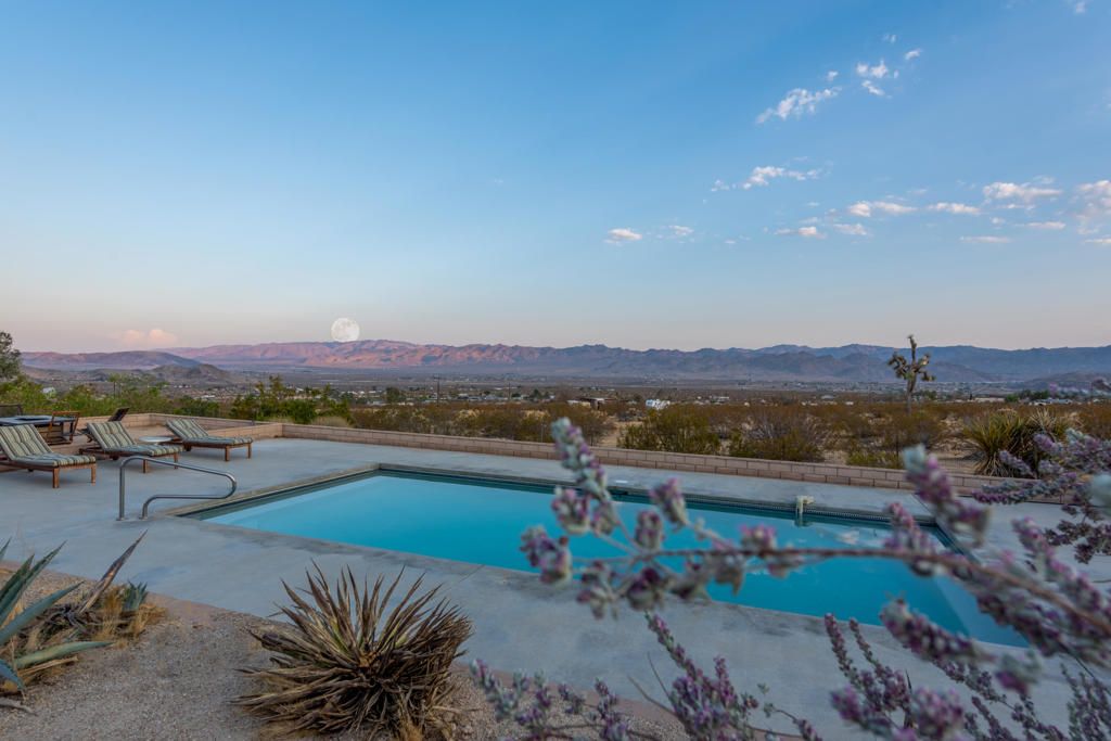 61979 Campanula Street