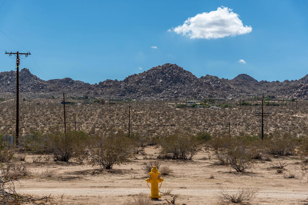 1234 Twentynine Palms Highway