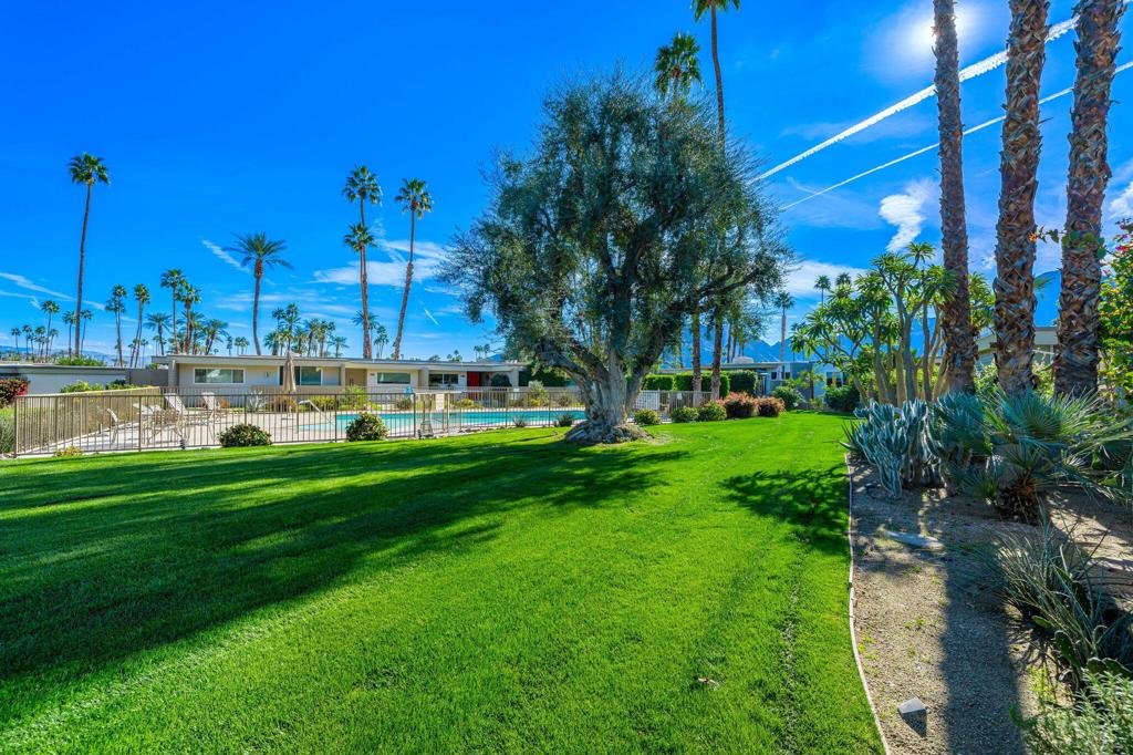 45164 Avenue Codorniz