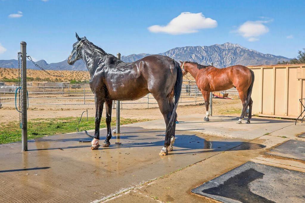 20555 Mountain View Road