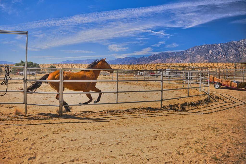 20555 Mountain View Road