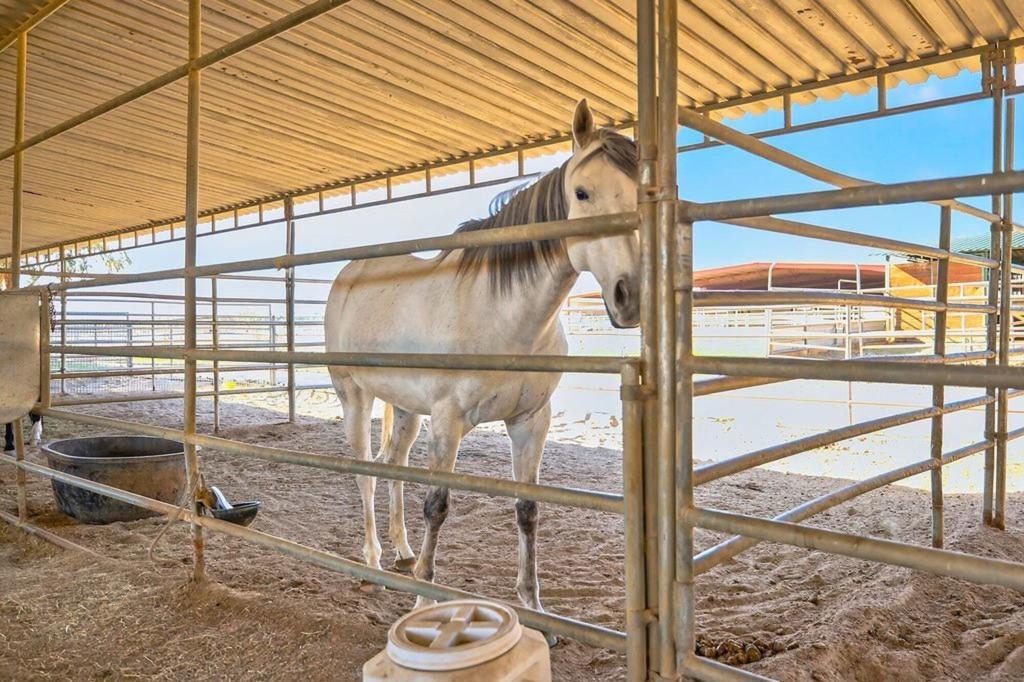 20555 Mountain View Road