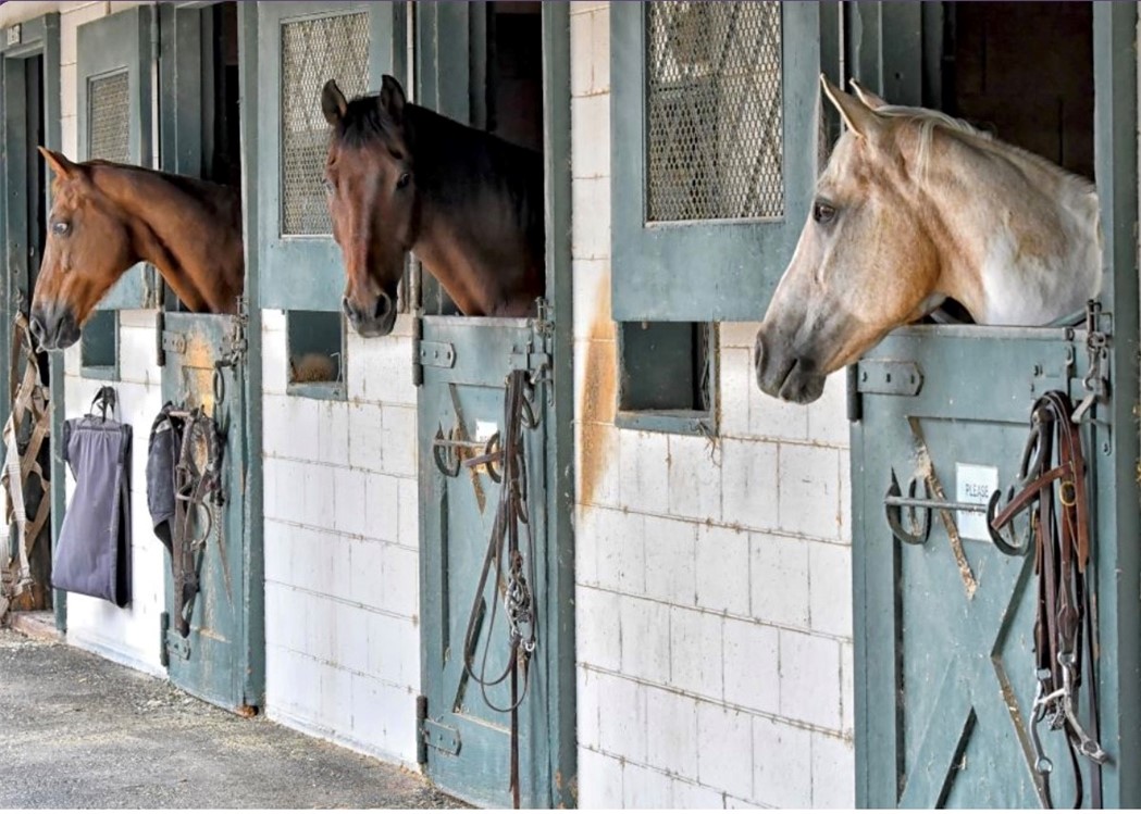 741 Avenida Majorca B