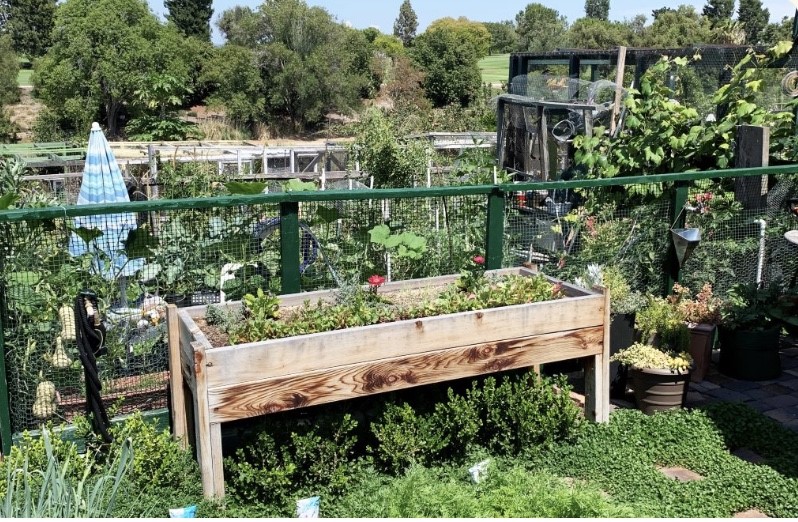 741 Avenida Majorca B