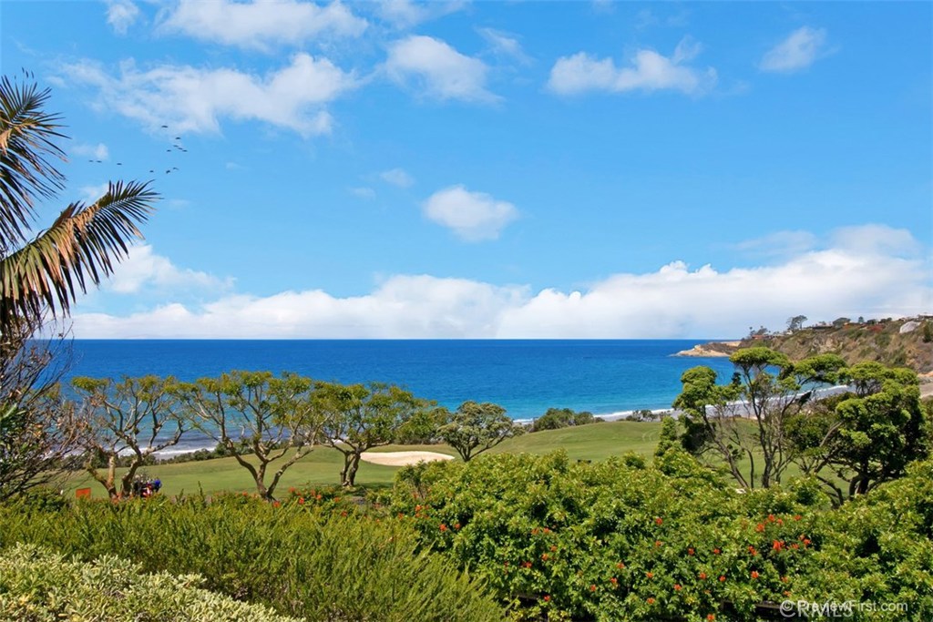 97 Ritz Cove Drive