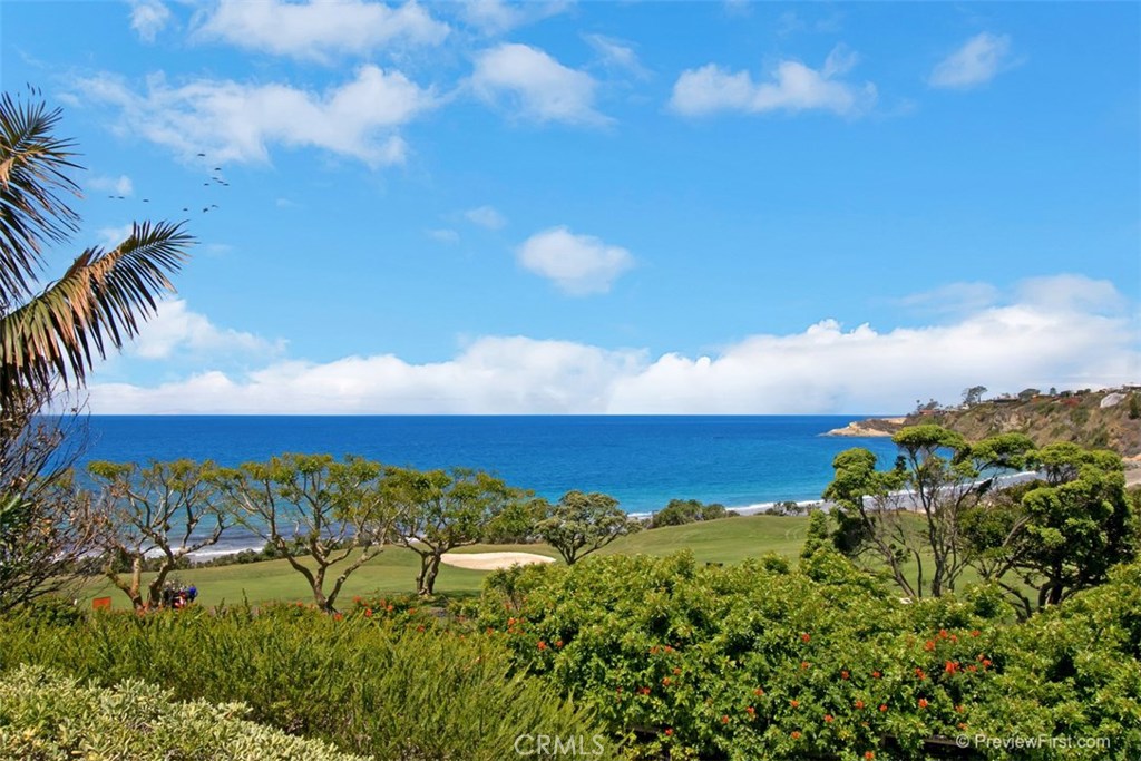 97 Ritz Cove Drive