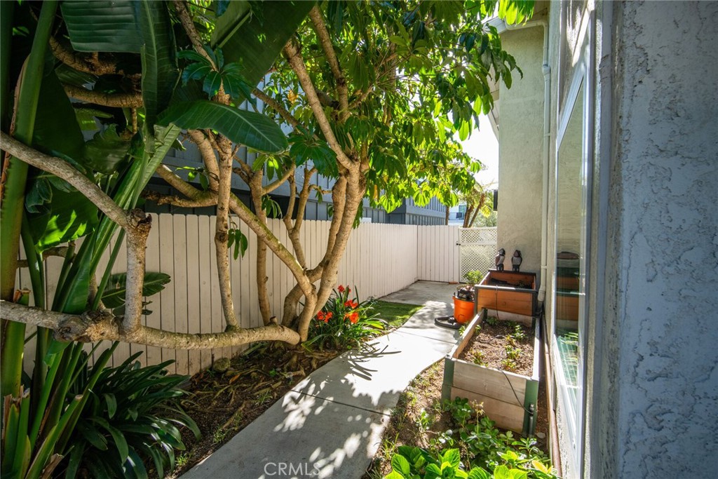 956 Tia Juana