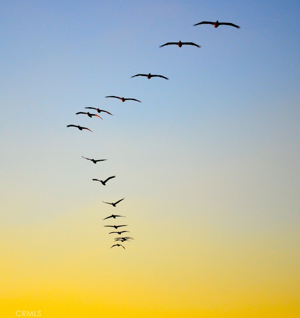 132 Monarch Bay Drive