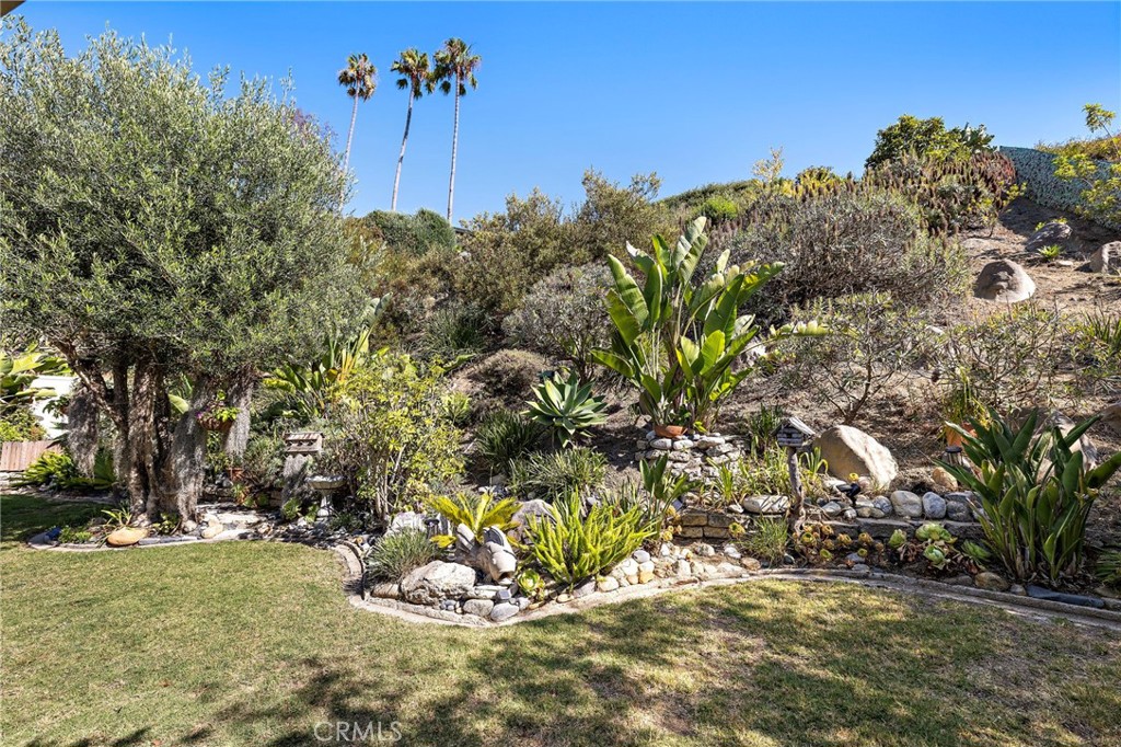 24802 La Plata Drive