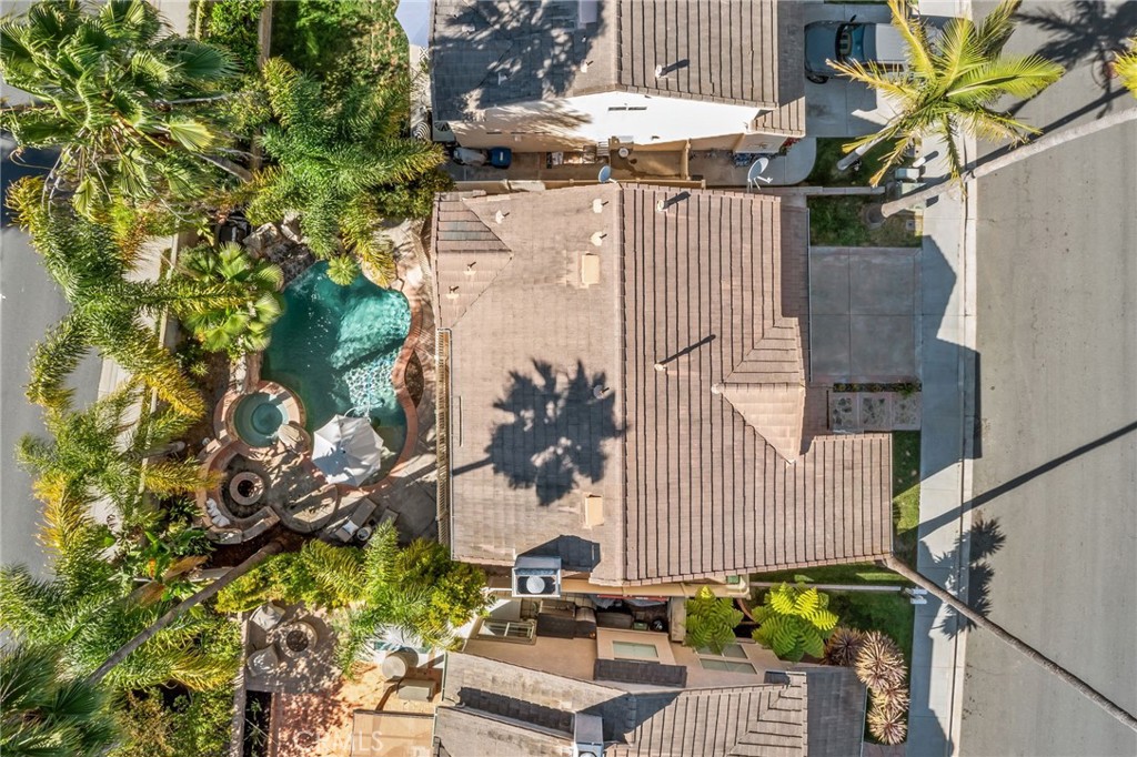 31 Cayman Brac