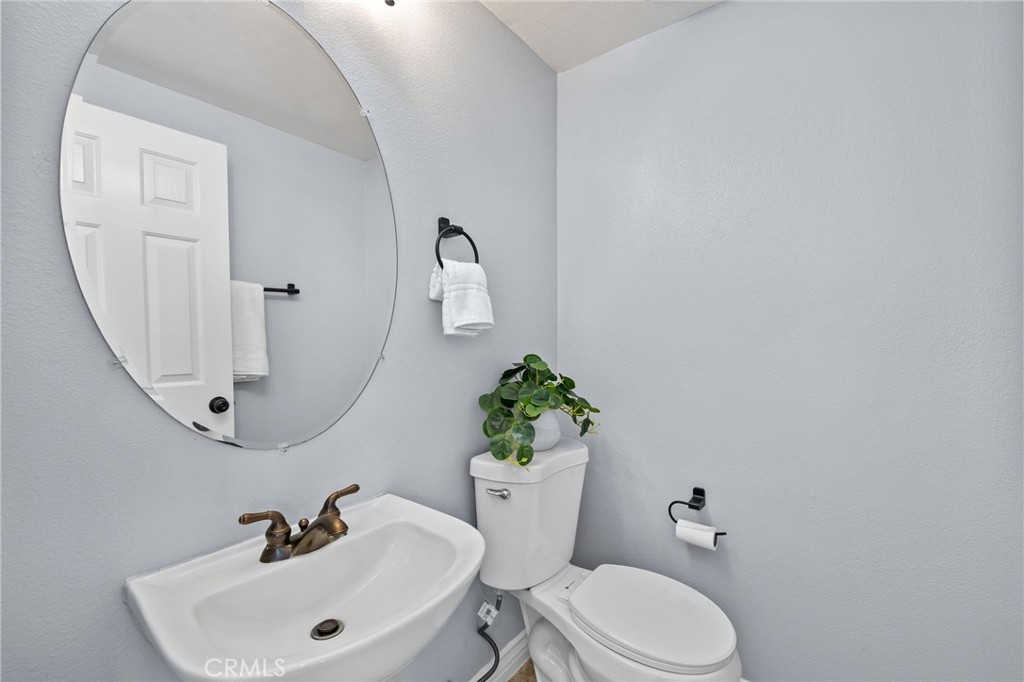 31 Cayman Brac