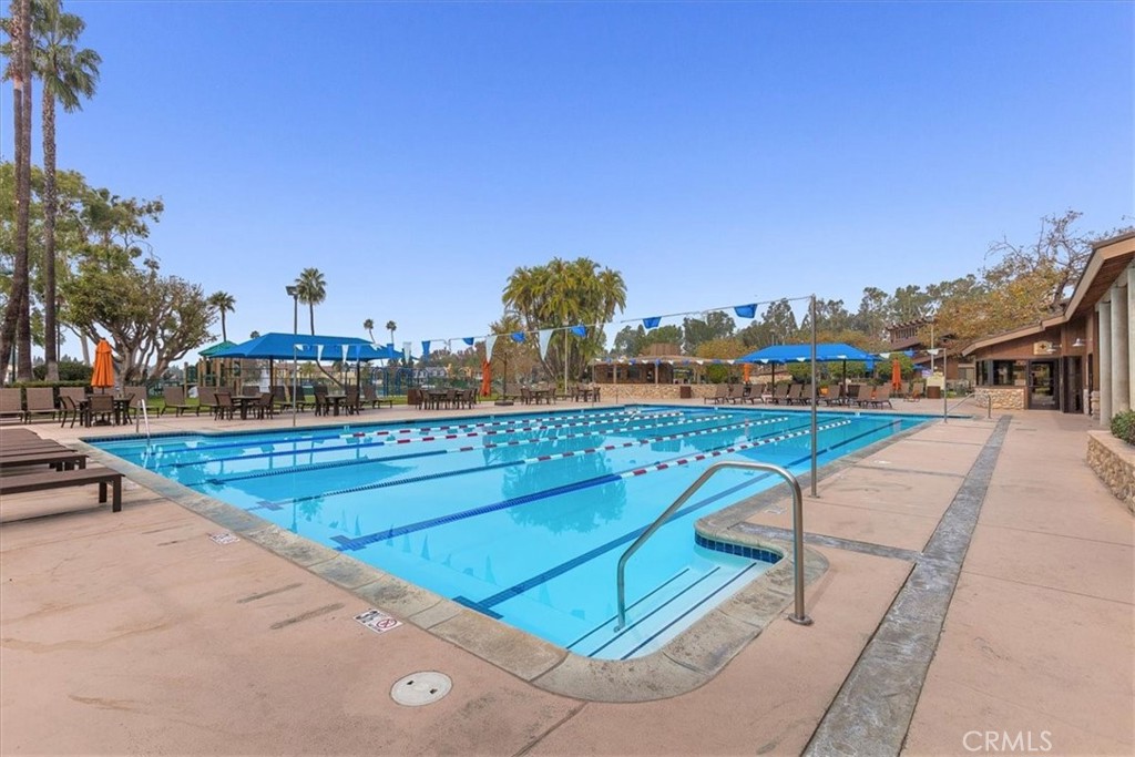 24946 Ravenswood