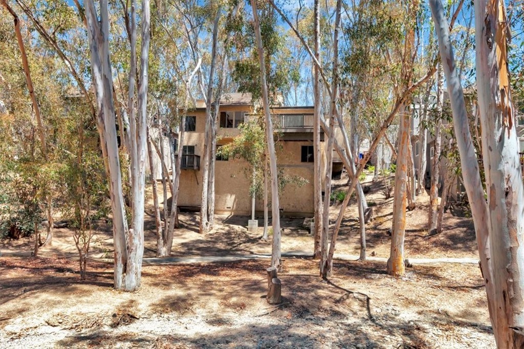 24946 Ravenswood