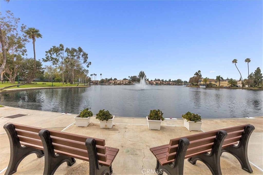 24946 Ravenswood