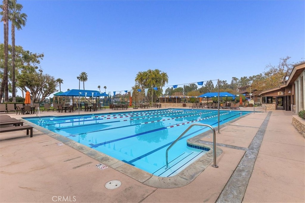 24946 Ravenswood