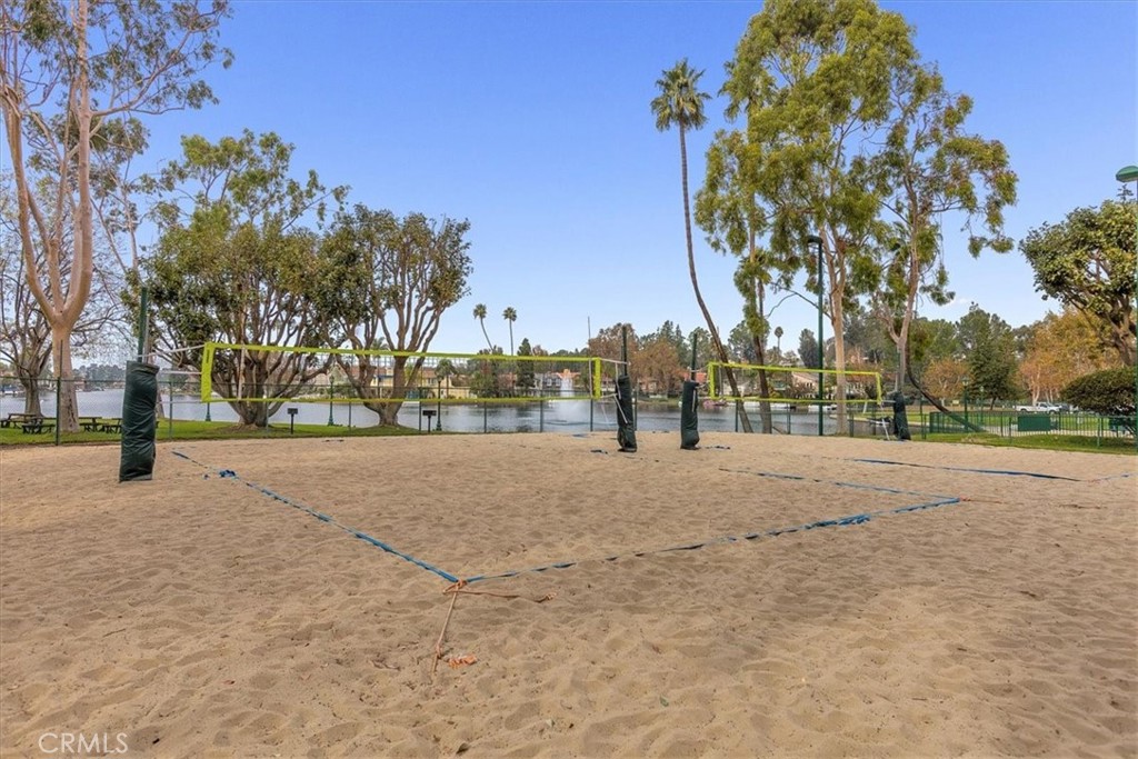 24946 Ravenswood