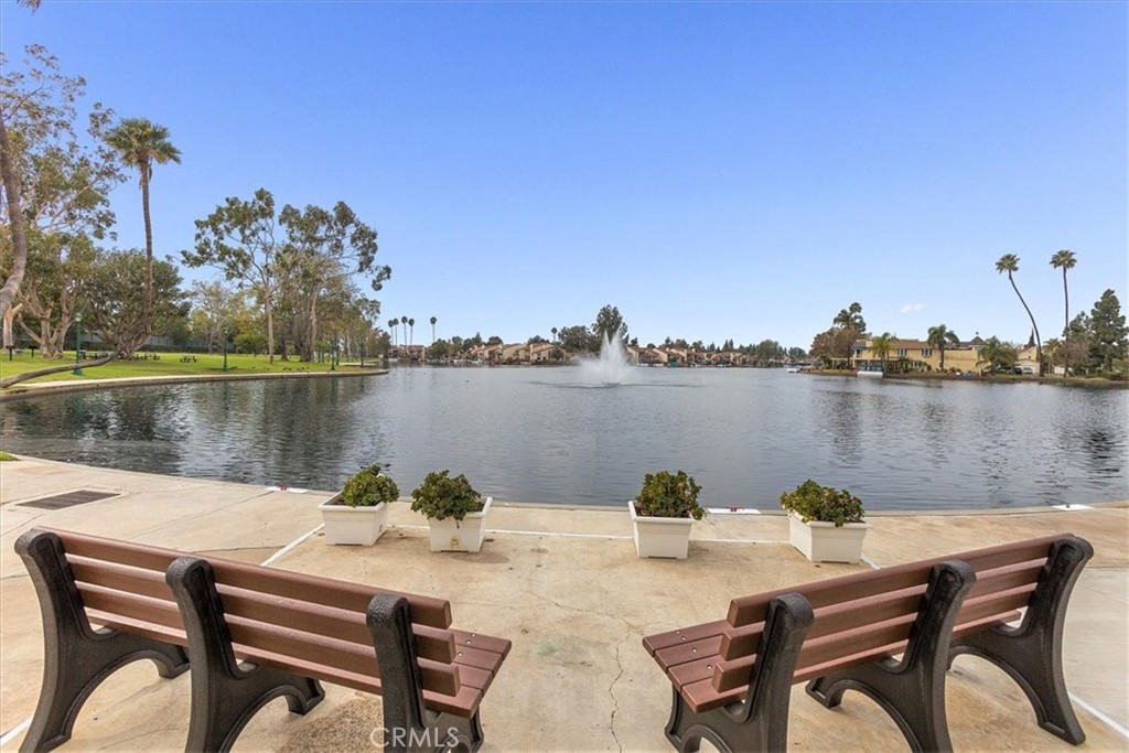 24946 Ravenswood