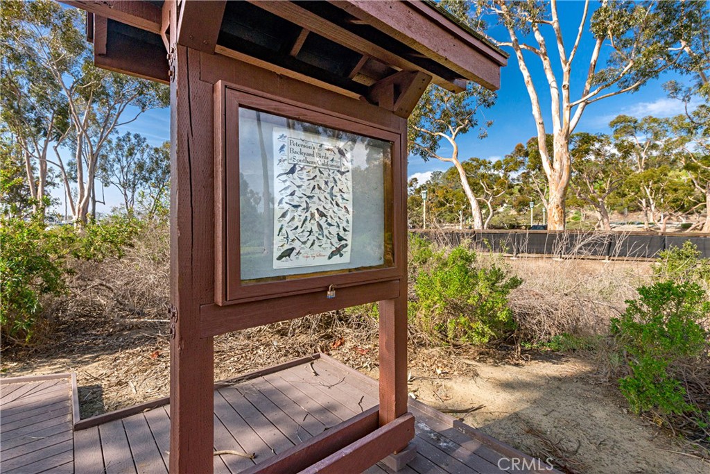 34532 Camino Capistrano