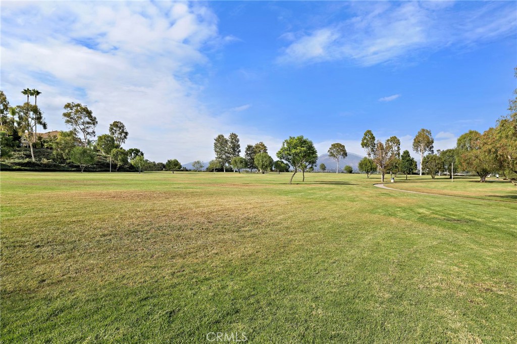 27041 Ironwood Drive