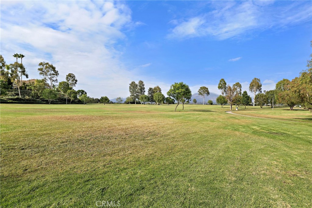 27041 Ironwood Drive