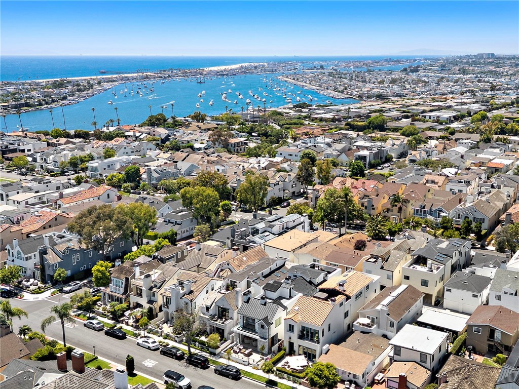 509 Carnation