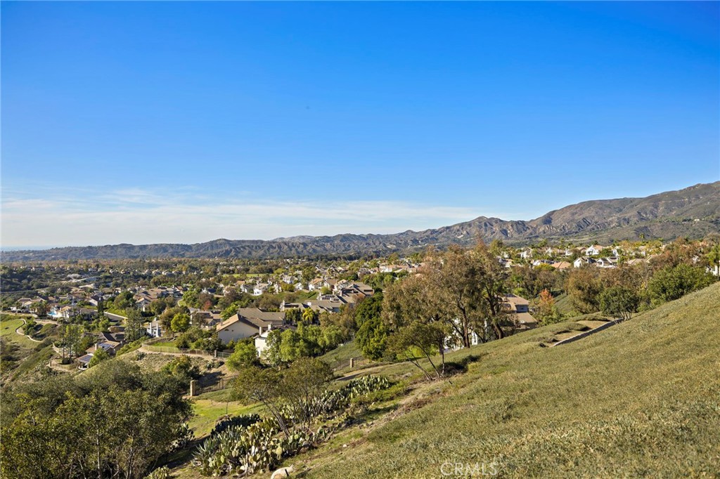 32928 Brookseed Drive