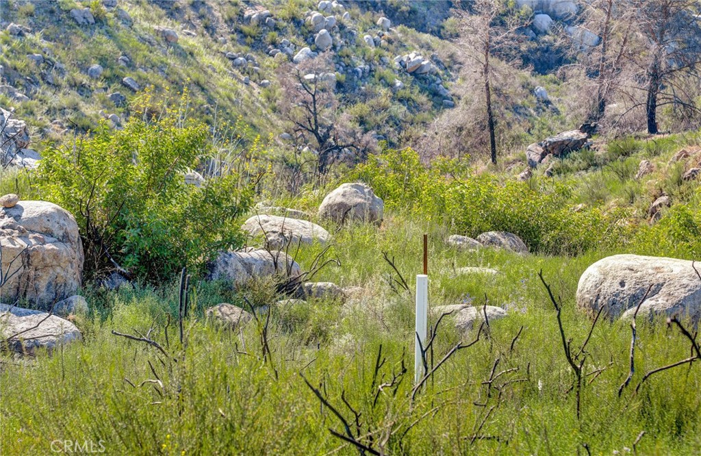 2 Decker Canyon Road