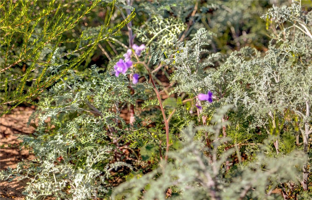 2 Decker Canyon Road