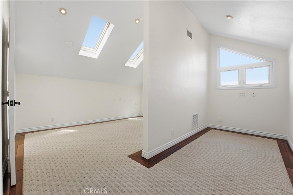 29881 White Otter