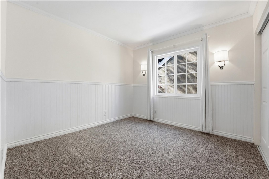 29881 White Otter