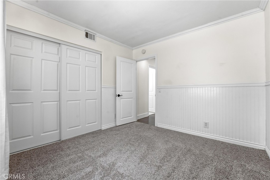 29881 White Otter