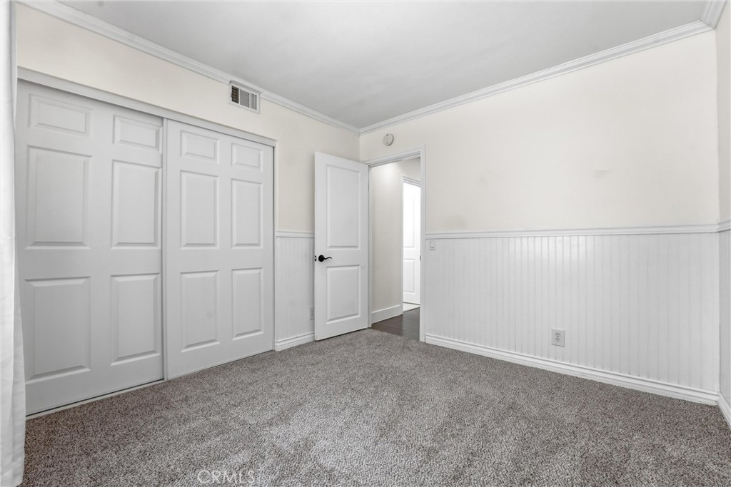 29881 White Otter