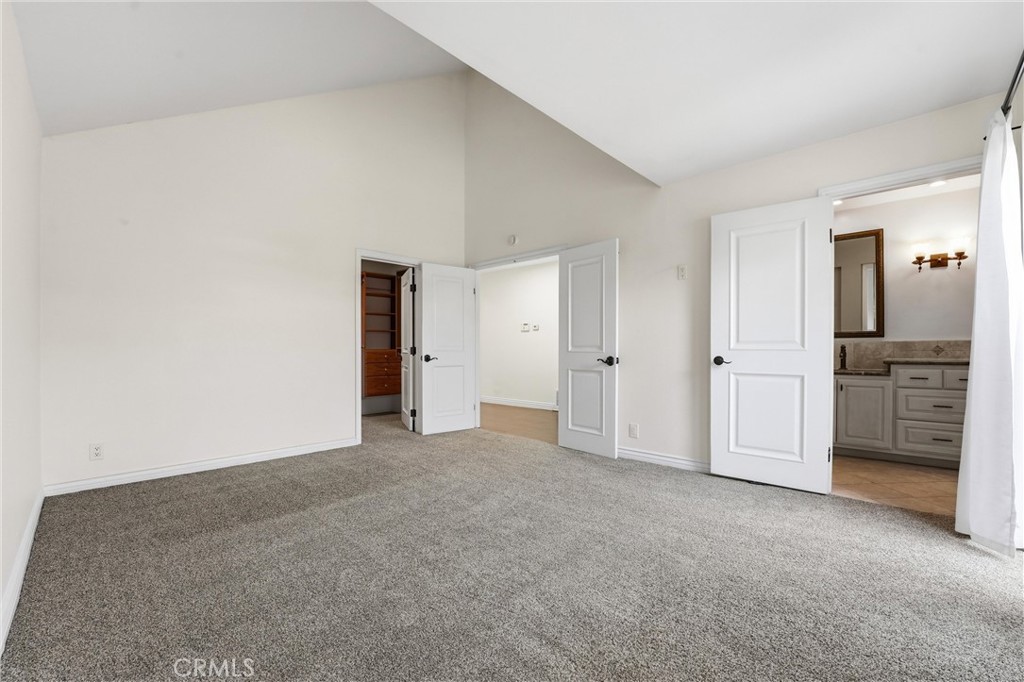 29881 White Otter