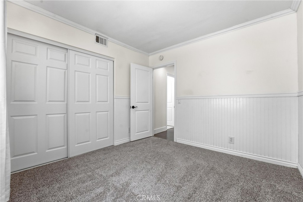29881 White Otter